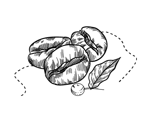 قهوه-روبوستا