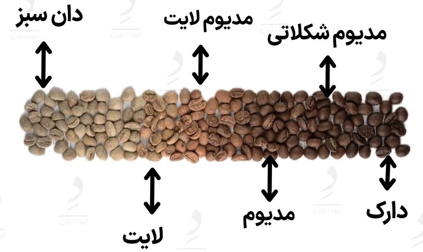 انواع رست