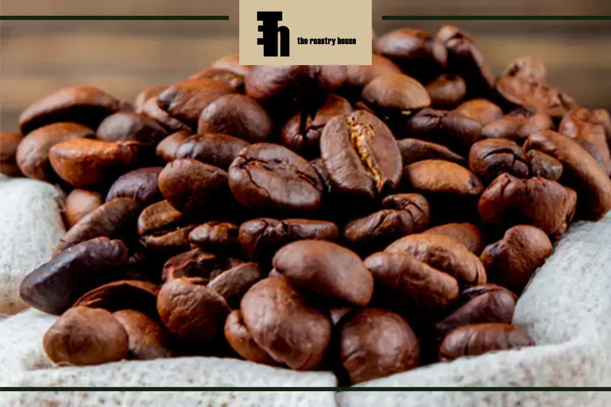 انواع قهوه اسپرسو روبوستا