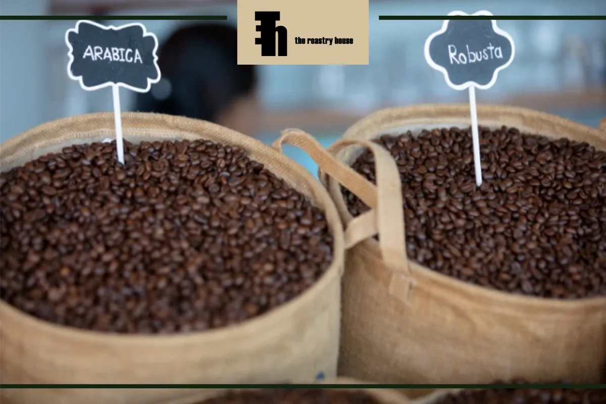بهترین ترکیب قهوه عربیکا و روبوستا
