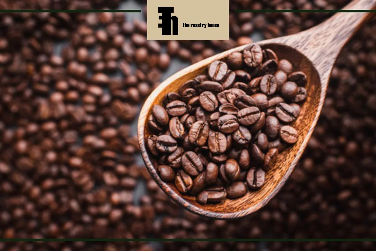 بهترین قهوه روبوستا برای کدام کشور است؟