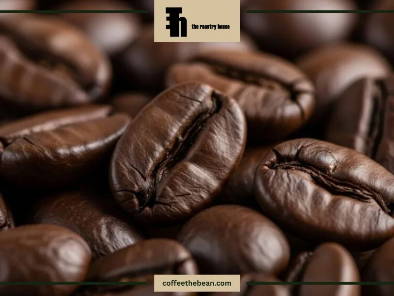 تاریخچه قهوه روبوستا