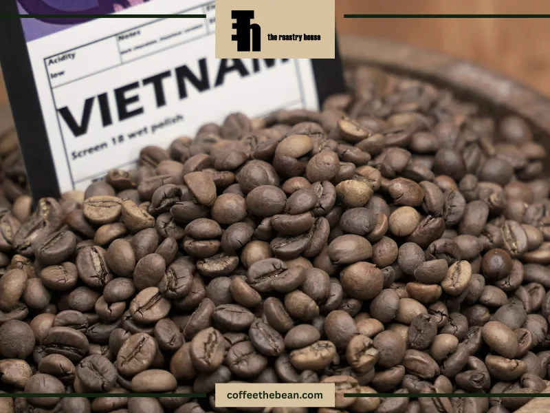 تاریخچه کوتاهی از ورود قهوه به ویتنام