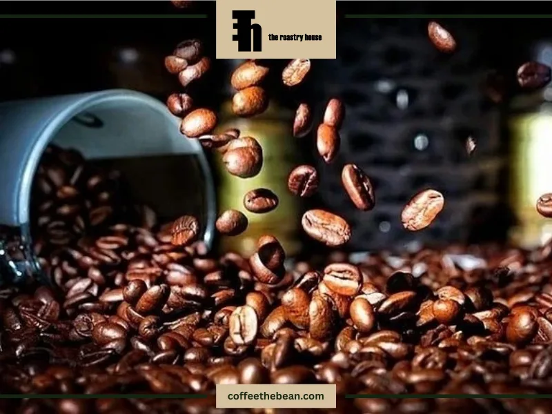 تفاوت قهوه روبوستا و عربیکا