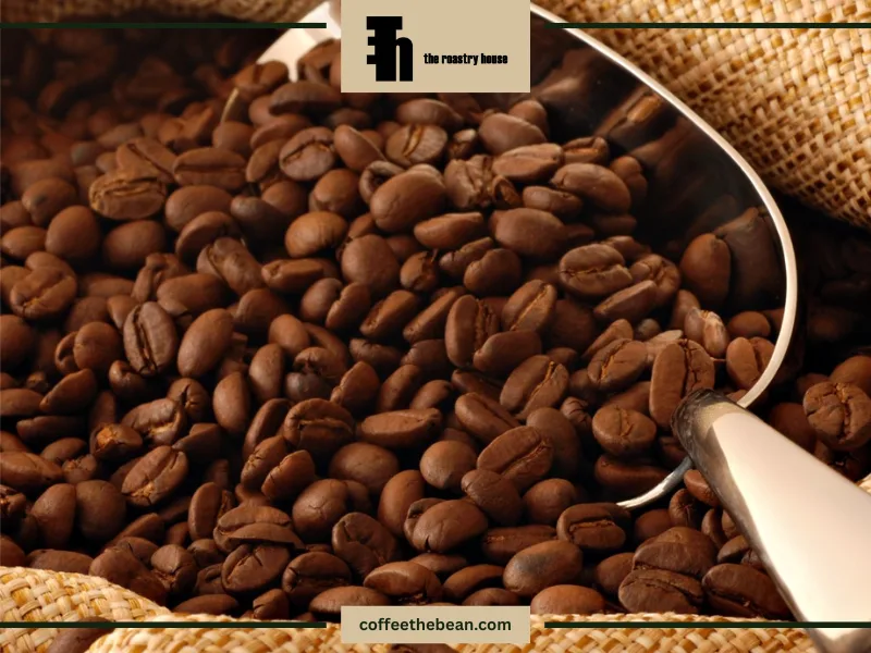 تنوع محصولات قابل دسترس در فروشگاه قهوه دبین