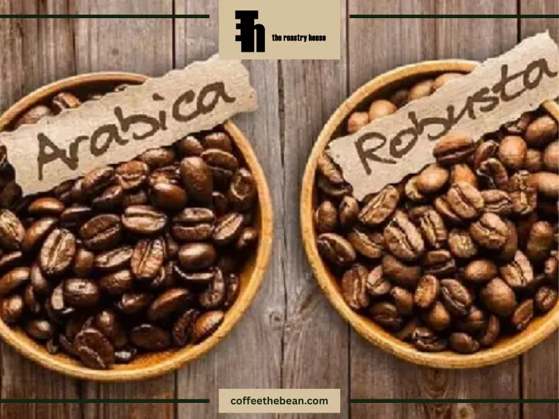 خواص قهوه عربیکا