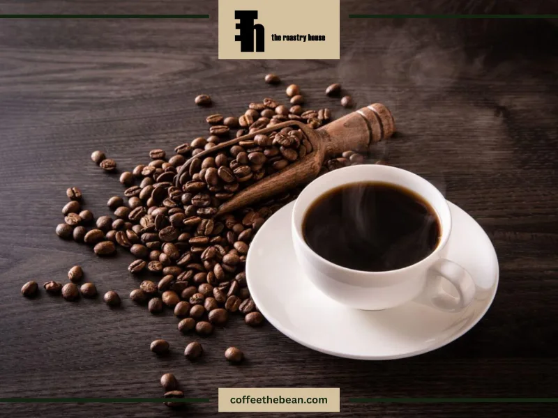 روبوستا قهوه چیست و چه ویژگی‌هایی دارد؟