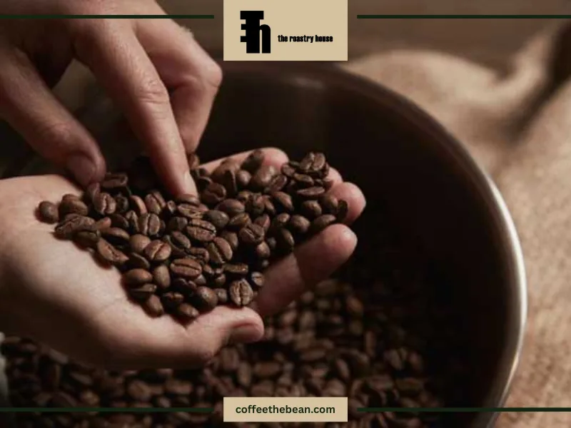 قهوه اسپرسو روبوستا چیست؟