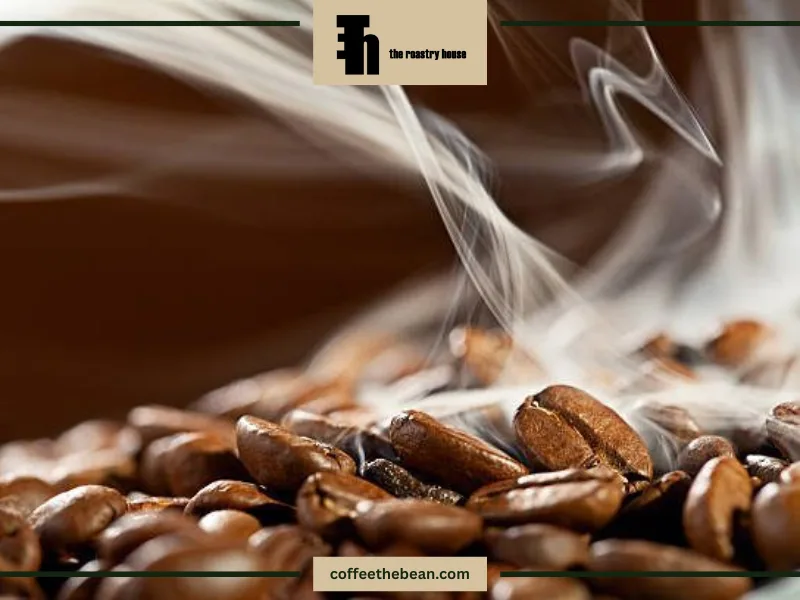 قهوه روبوستا چیست و چرا محبوب است؟