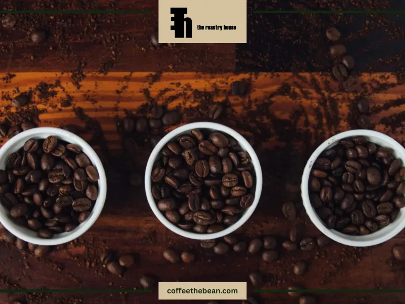 قهوه عربیکا چیست؟