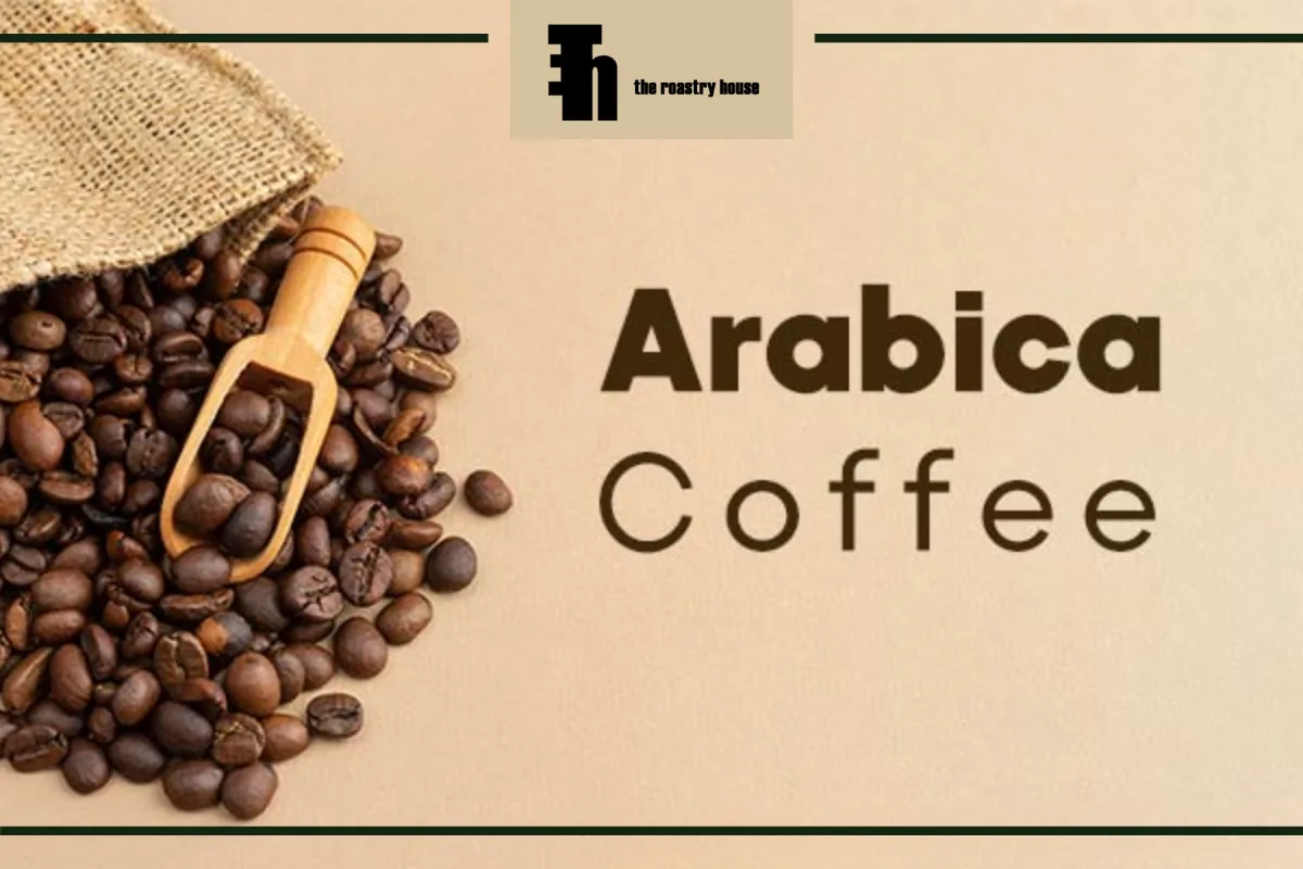 قهوه عربیکا چیست؟