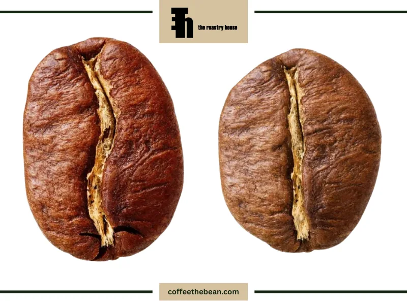 قیمت و دسترسی قهوه عربیکا و روبوستا
