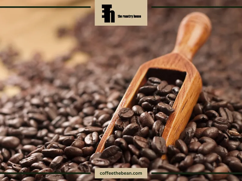 نکات طلایی در انتخاب و خرید قهوه عربیکا در فروشگاه قهوه دبین