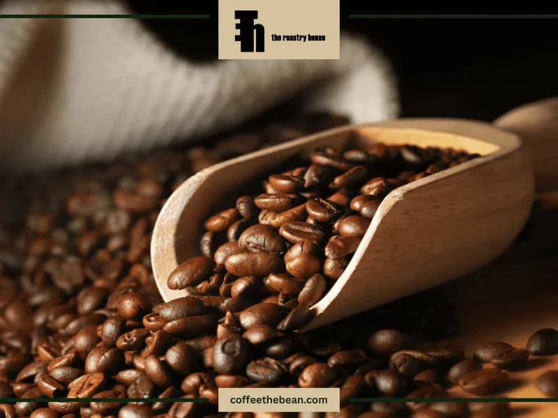 نکات مهم در استفاده از قهوه روبوستا