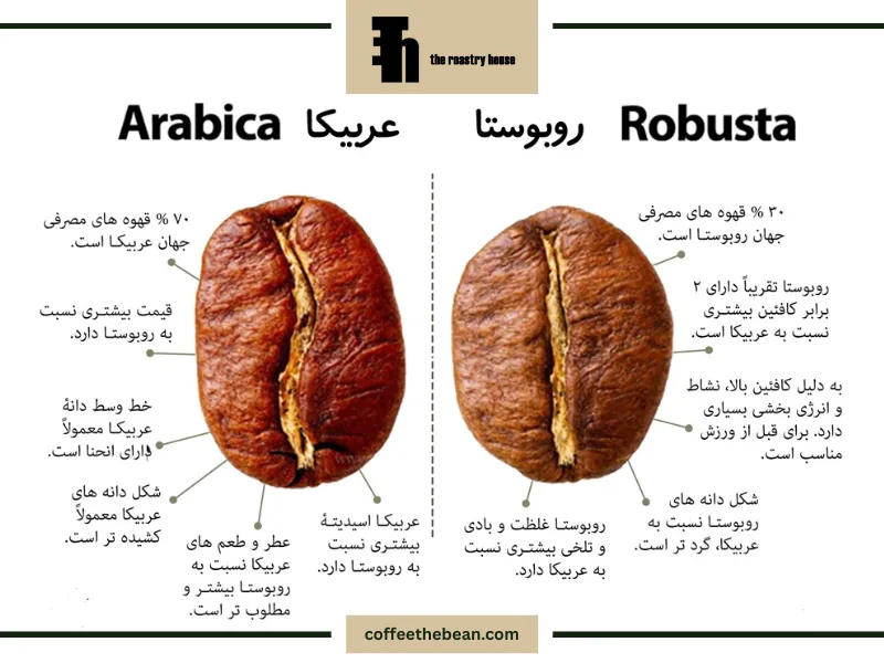نکات کلیدی در خرید و نگهداری قهوه روبوستا