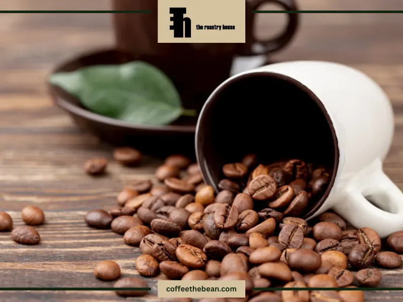 نکات کلیدی در سرو قهوه اسپرسو روبوستا