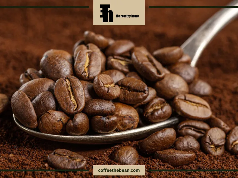 وسایل مورد نیاز برای تهیه قهوه ویتنام