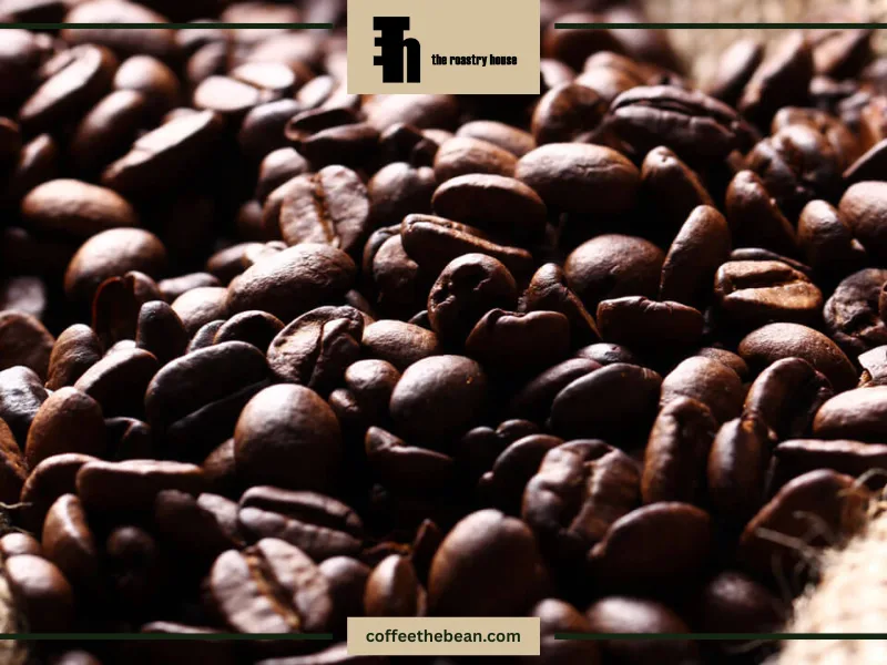 ویژگی های قهوه روبوستا