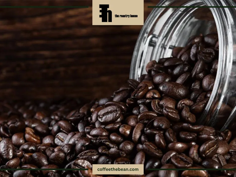 چند نکته مهم در تهیه قهوه روبوستا