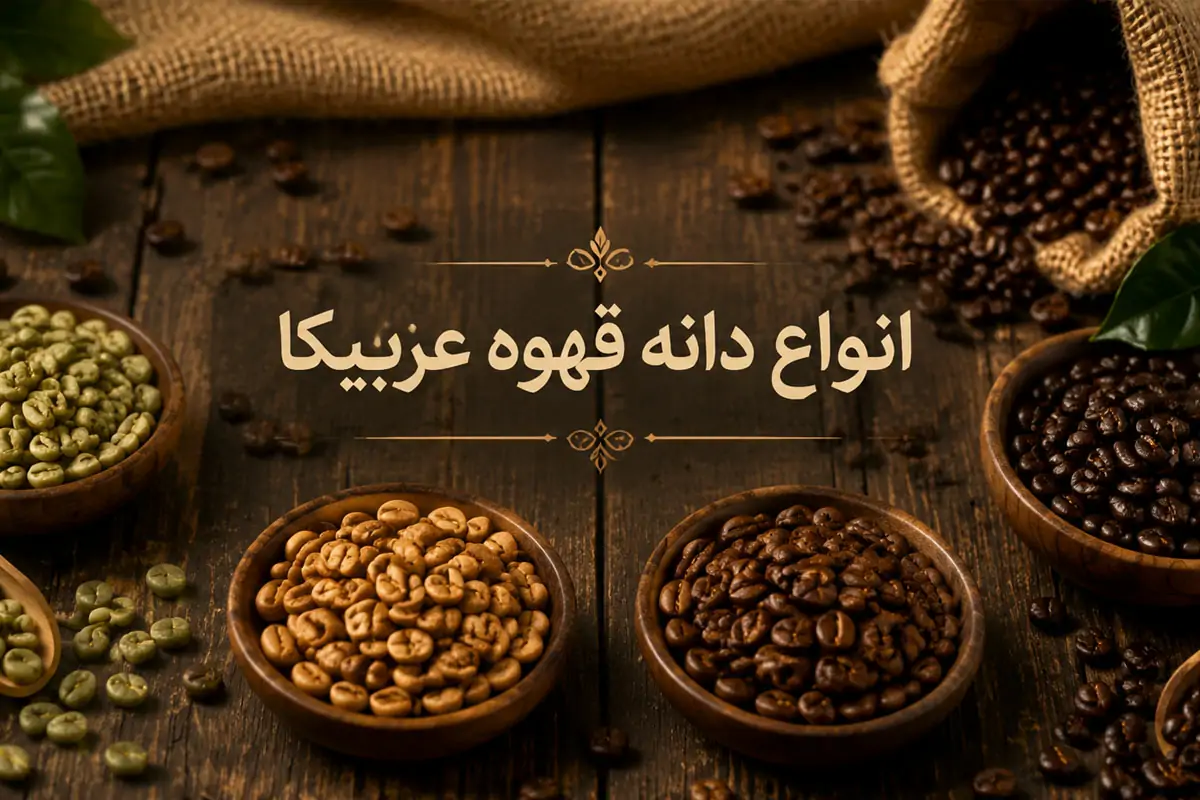 انواع دانه قهوه عربیکا