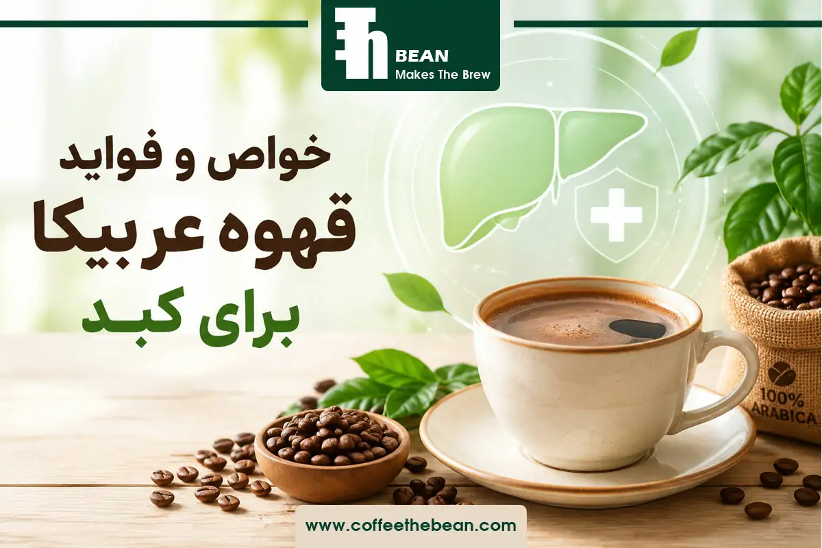 خواص و فواید قهوه عربیکا برای کبد