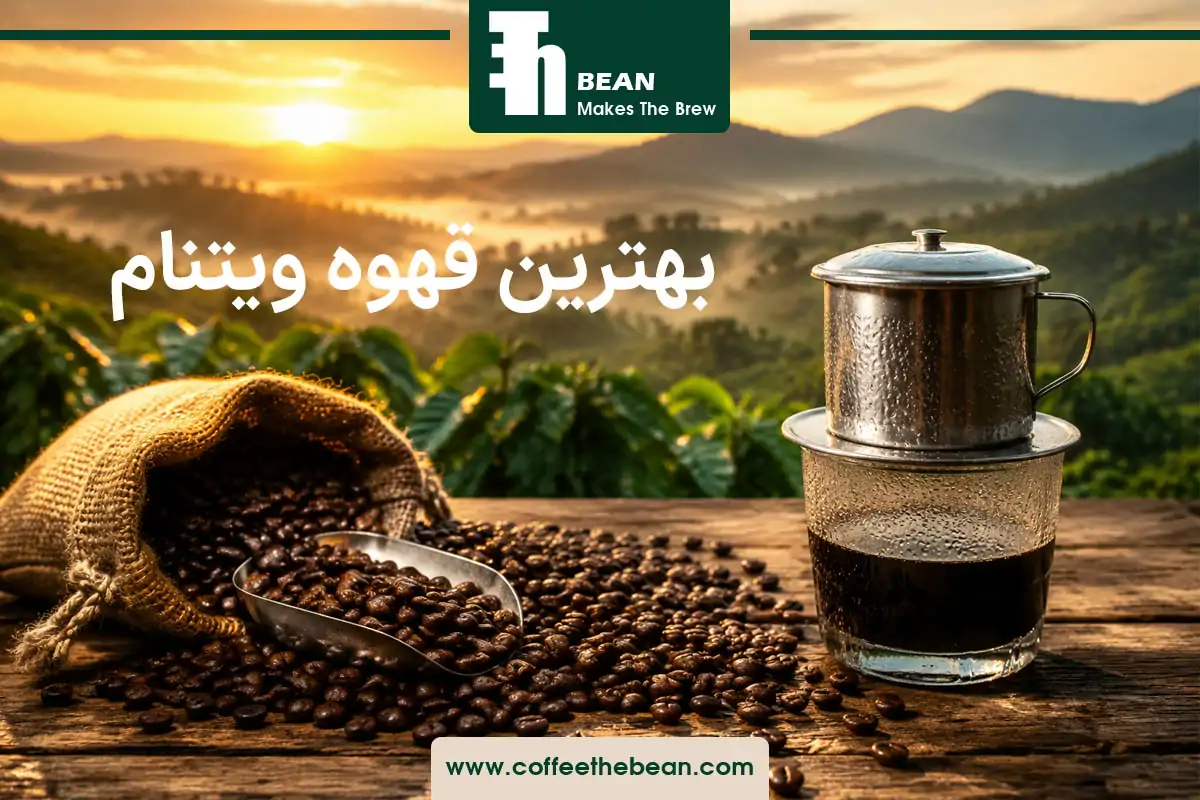 بهترین قهوه ویتنام | راهنمای کامل انتخاب و خرید