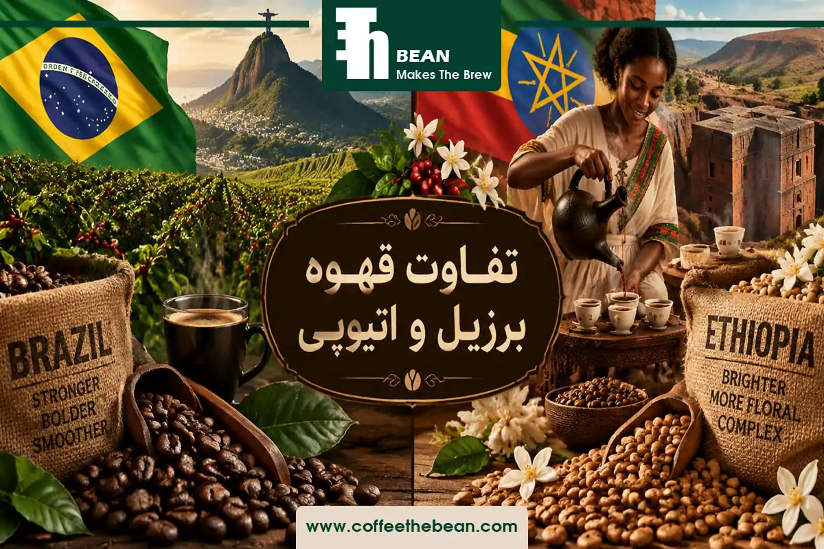 تفاوت قهوه برزیل و اتیوپی