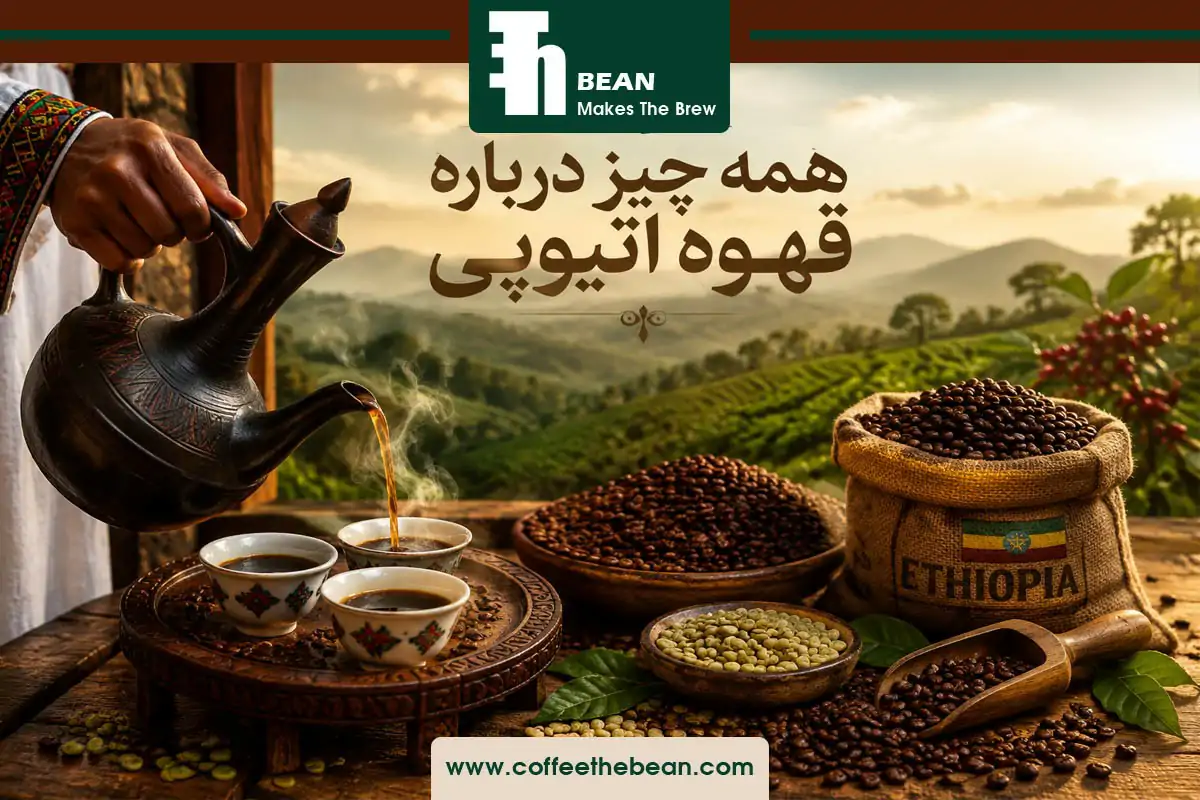 همه چیز درباره قهوه اتیوپی، مشخصات و ویژگی ها