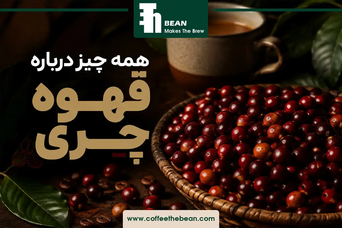 همه چیز درباره قهوه چری، مشخصات و ویژگی ها