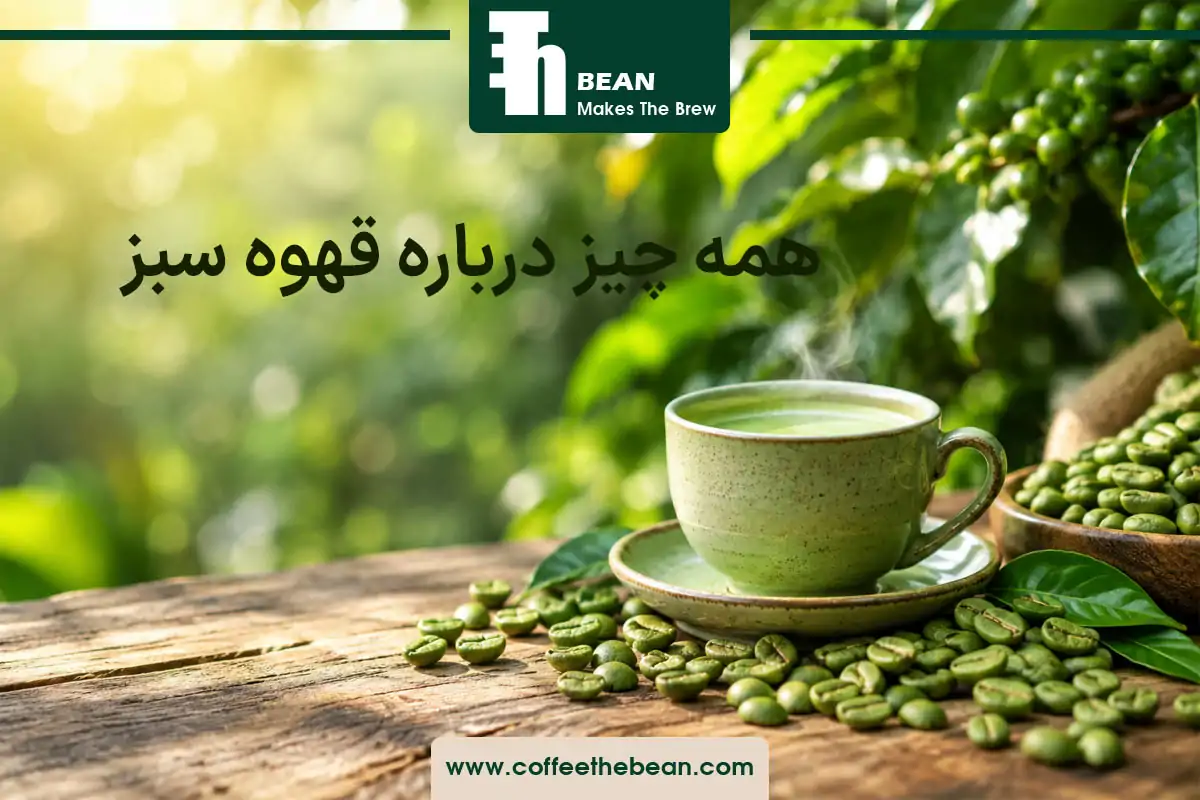 همه چیز درباره قهوه سبز