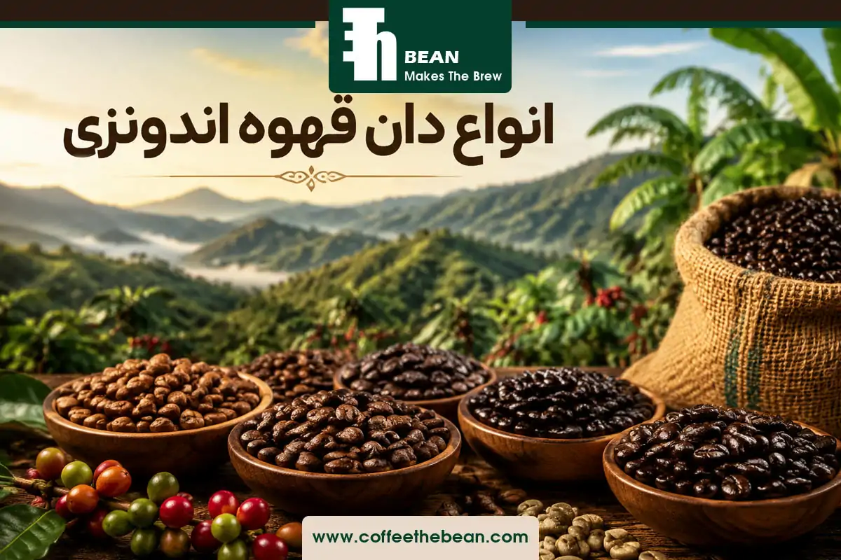 انواع دان قهوه اندونزی