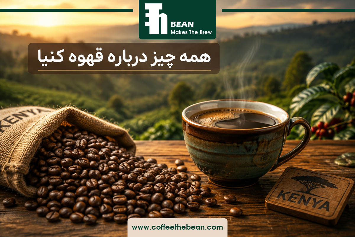 همه چیز درباره قهوه کنیا ، مشخصات و ویژگی ها
