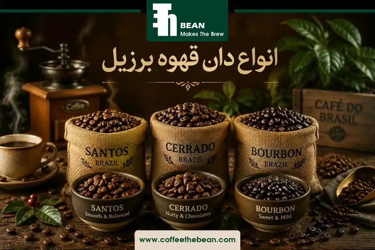 انواع دان قهوه برزیل