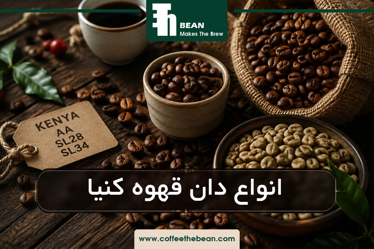 انواع دان قهوه کنیا