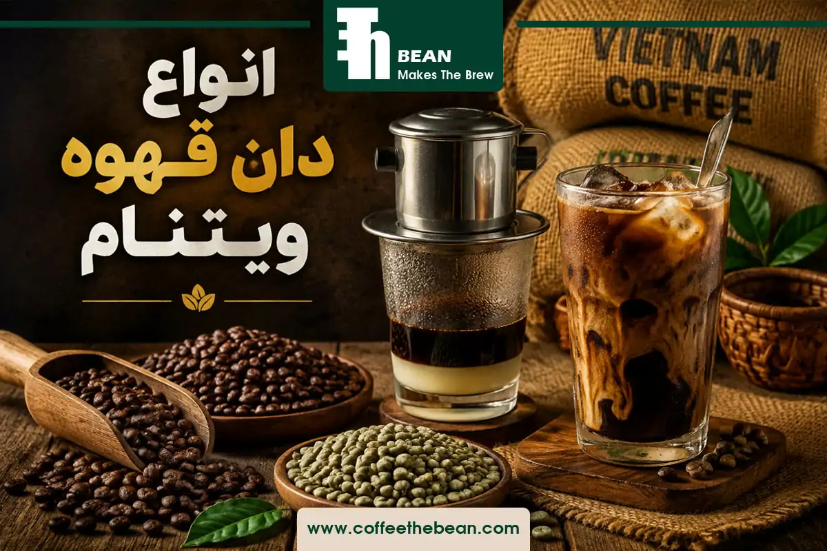انواع دان قهوه ویتنام | راهنمای کامل برای انتخاب بهترین قهوه ویتنامی