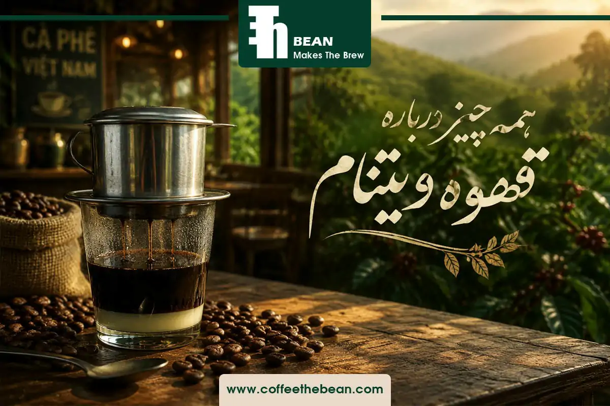 همه چیز درباره قهوه ویتنام، مشخصات و ویژگی ها