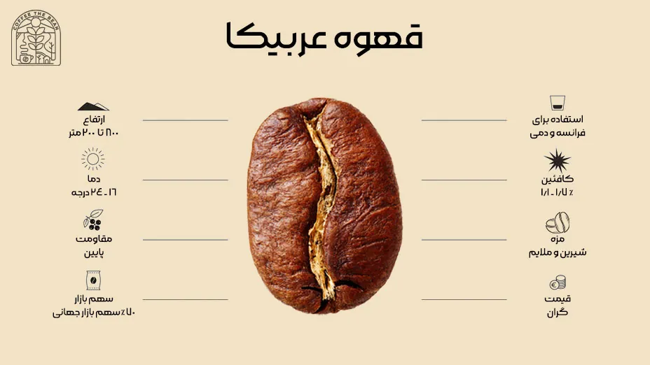 قهوه عربیکا