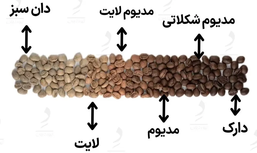 انواع رست